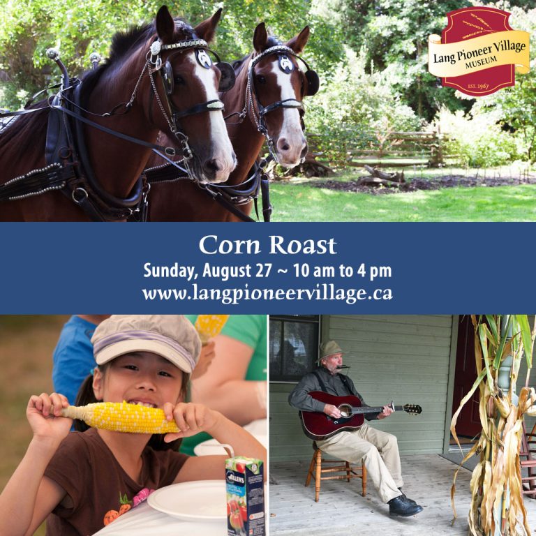 Corn Roast Display Ad 2023 1000x1000 1 768x768