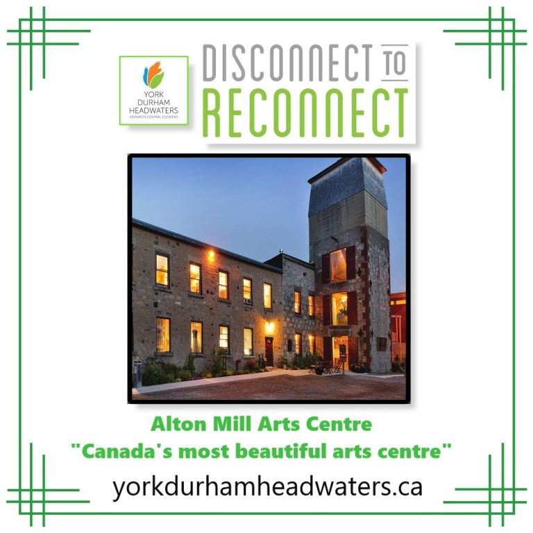 Reconnect Spring.Summer Alton Mill Arts Centre OEd 2023 768x768